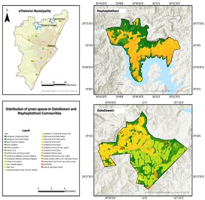 Analysing the contribution of trees and green spaces to household nutrition security in eThekwini, KwaZulu-Natal, South Africa